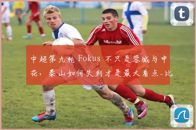 中超第九轮 Fokus 不只是蓉城与申花，泰山如何失利才是最大看点_比赛_河南队_较量